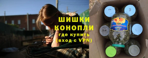 ПСИЛОЦИБИНОВЫЕ ГРИБЫ Дмитров