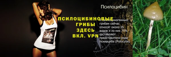 альфа пвп Дмитриев