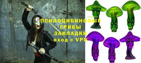 ПСИЛОЦИБИНОВЫЕ ГРИБЫ Дмитров