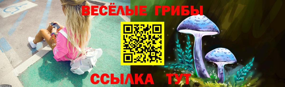 Москва  Псилоцибиновые грибы Psilocybe  Вход с VPN  Галлюциногенные грибы MAGIC MUSHROOMS 