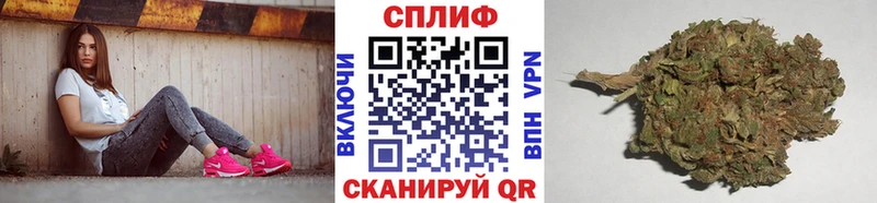 Бошки Шишки THC 21%  купить наркотики цена  мега ссылки  Москва 